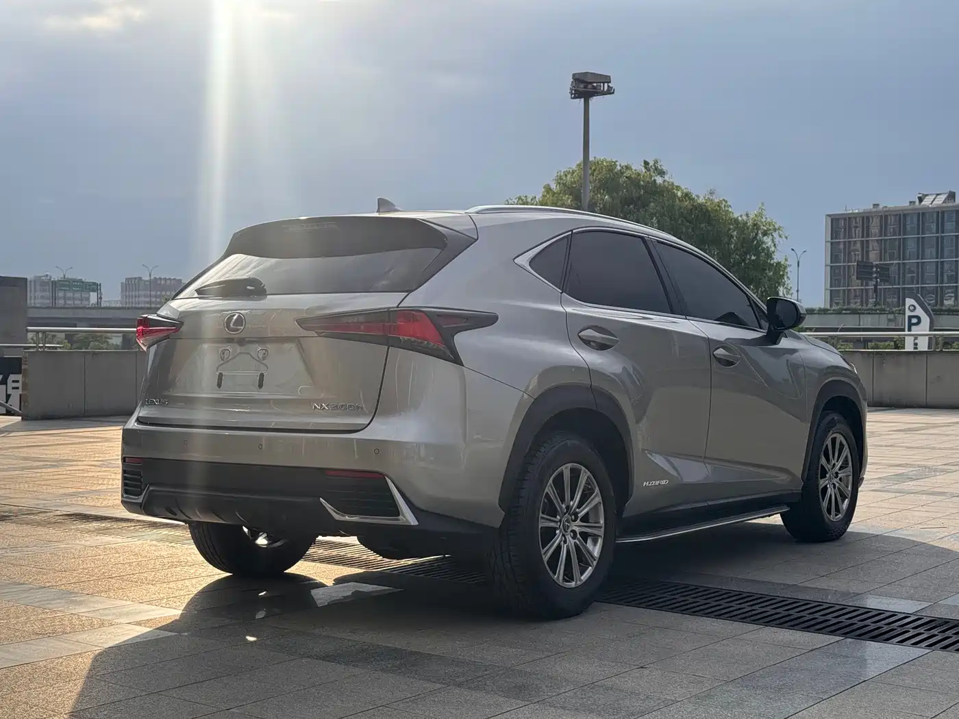 Lexus NX 2020 300 AWD F Sport China V фото 5
