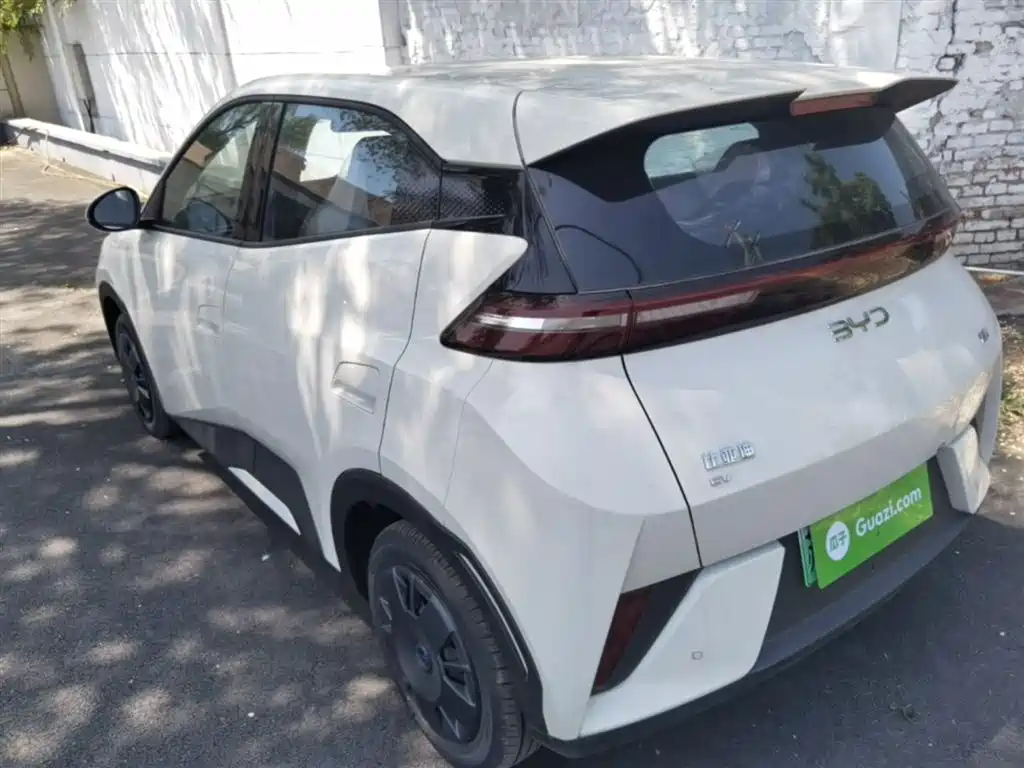 BYD Seagull 2025 Smart Drive Edition 305km Vitality Version фото 5