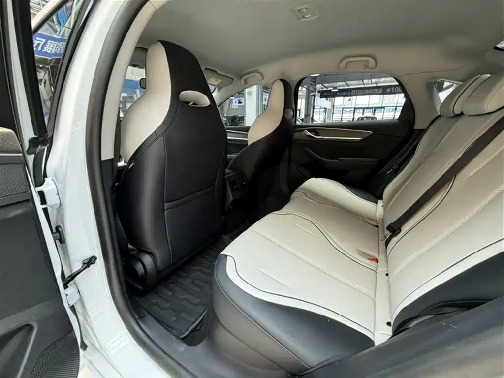 BYD Destroyer 05 2024 Glory Edition DM-i 55KM Luxury фото 14
