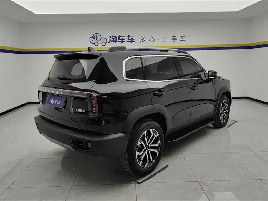 Haval Big Dog 2024 1.5T DCT Border Collie Edition фото 3