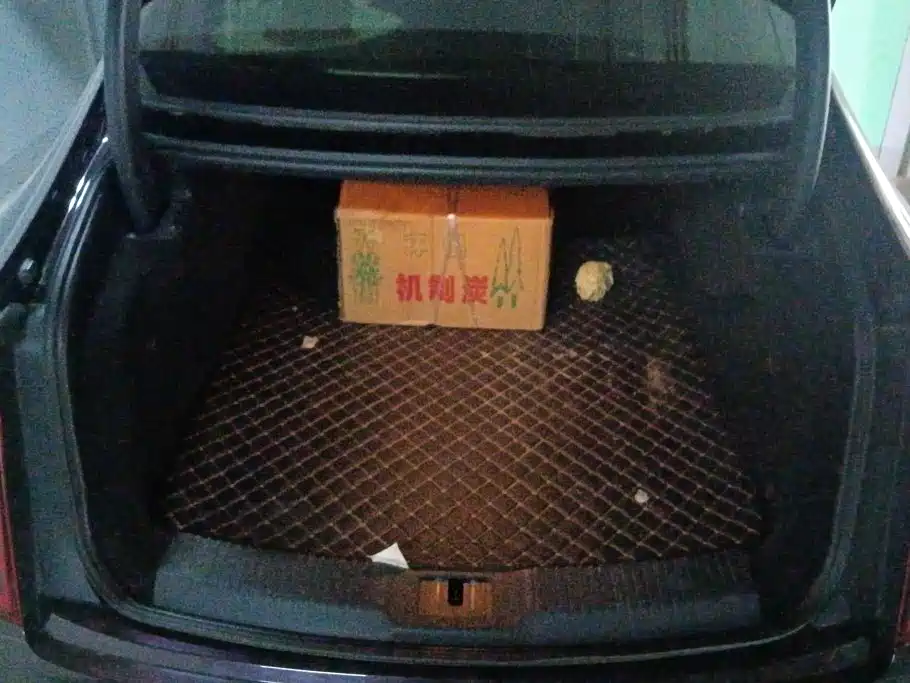 Hongqi H9 2021 2020 2.0T Smart Connection Qi Chang Edition