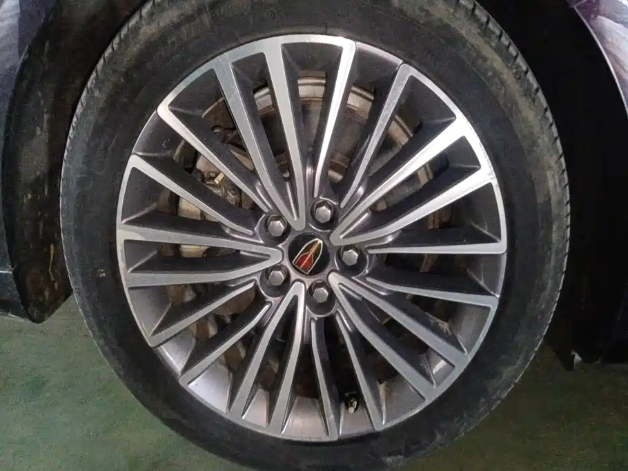 Hongqi H9 2021 2020 2.0T Smart Connection Qi Chang Edition