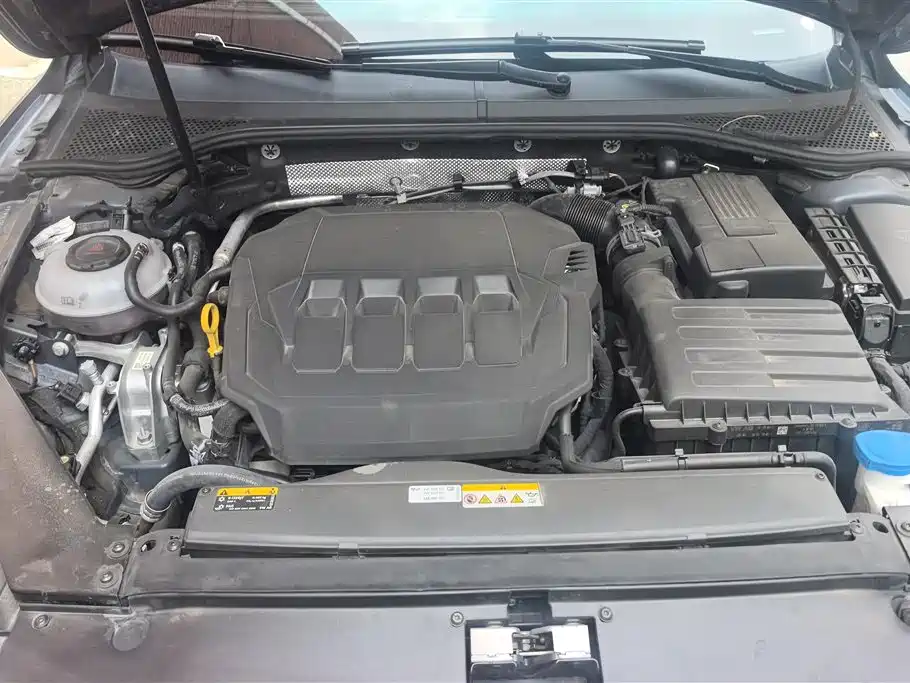 Volkswagen Weilan 2021 2.0T Smooth Ride Edition фото 10