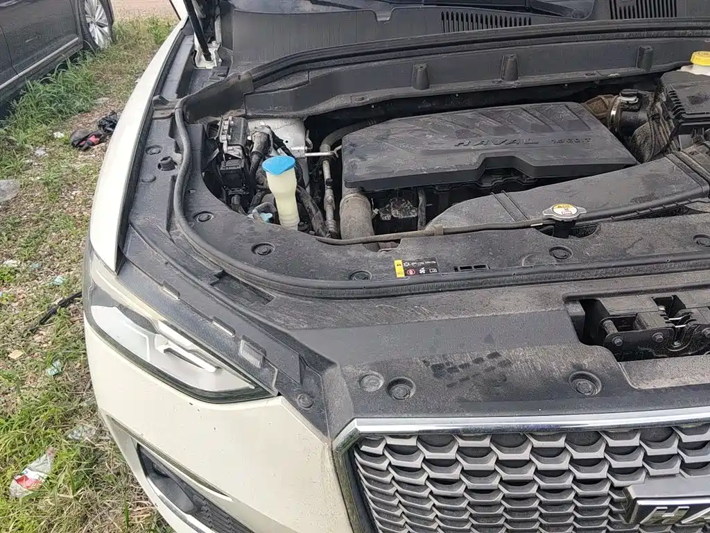 Haval F5 2018 1.5T i-Trend фото 22