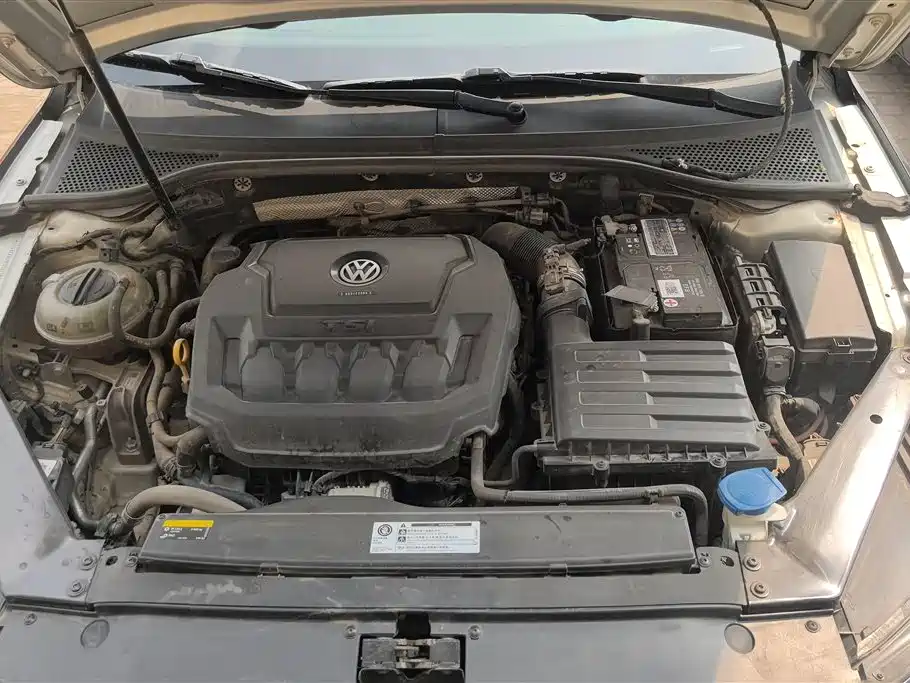 Volkswagen Magotan 2019 330TSI DSG Luxury China V фото 10