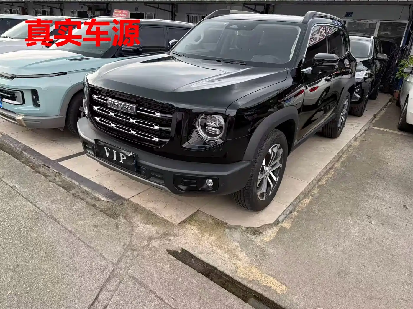 Haval Big Dog 2022 1.5T DCT FWD Border Collie Edition
