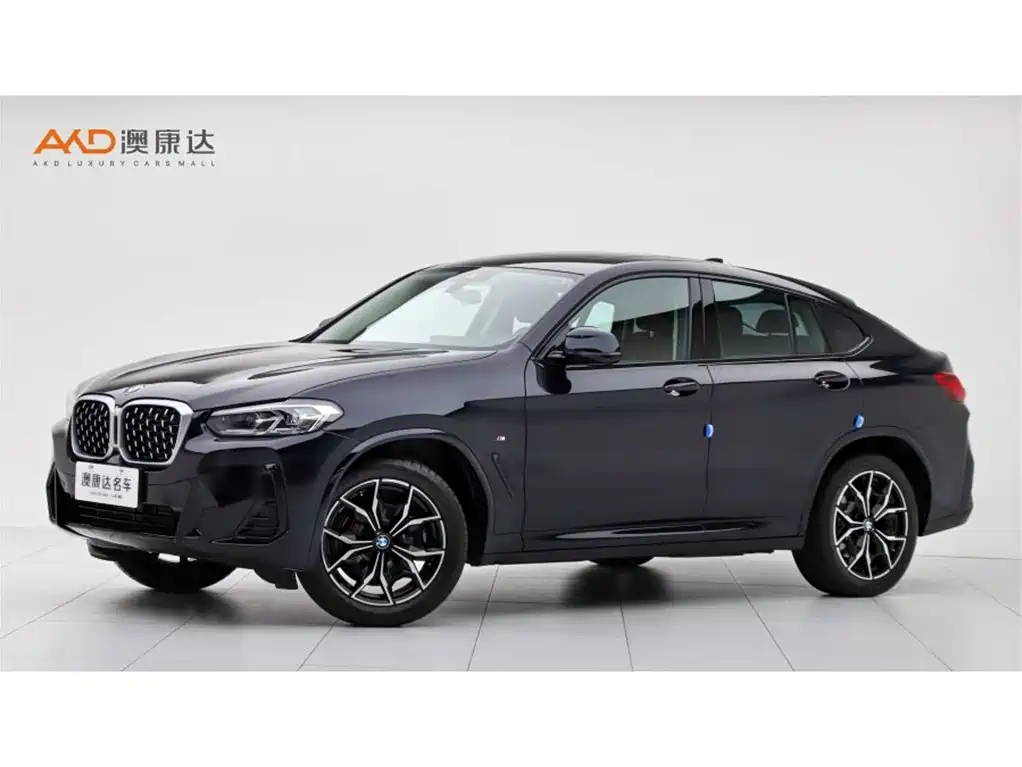 BMW X4 2022 xDrive 25i M Sport Package