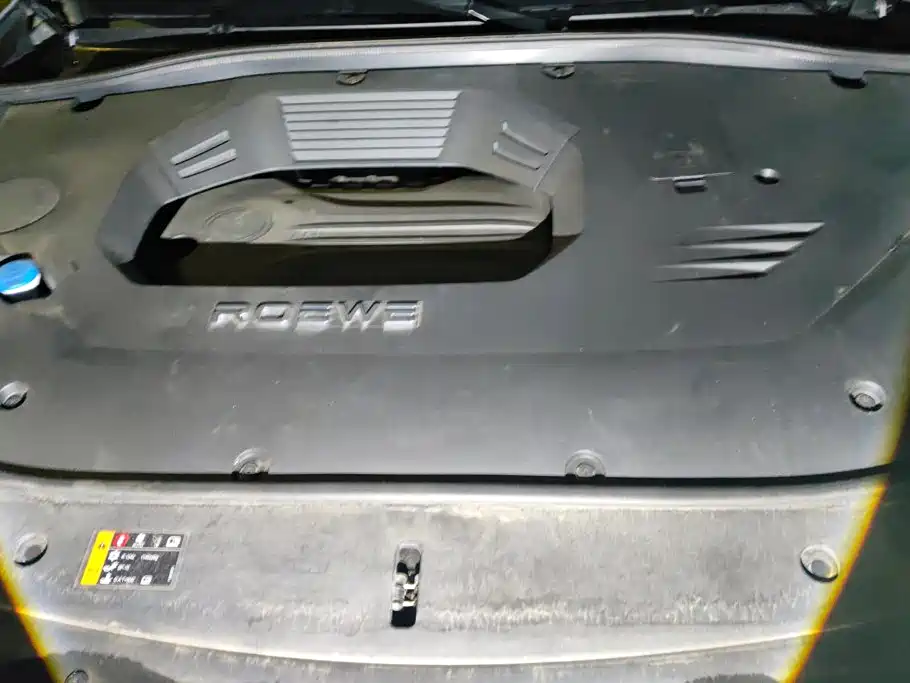 Roewe RX9 2025 2023 2.0T 2WD Premium Edition