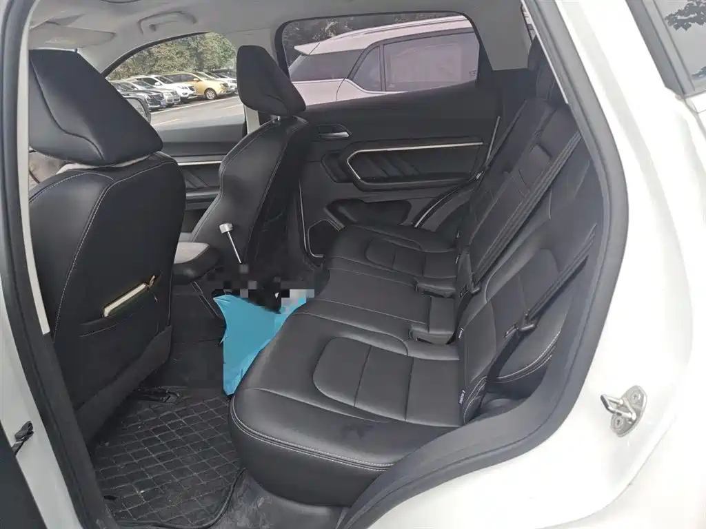 Haval H6 2019 1.5GDIT Automatic Champion Edition China VI фото 15