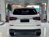 Фото 4 - Roewe RX5
