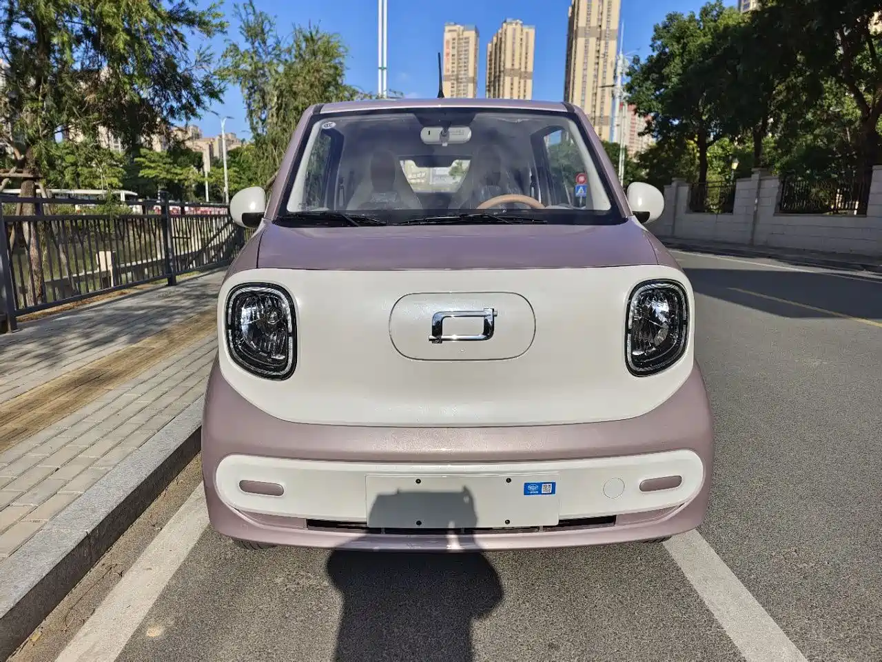 BESTUNE PENTIUM PONY