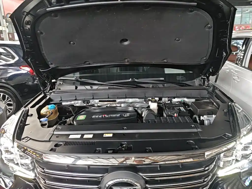 GAC Trumpchi Trumpchi GS8 2020 390T AWD Luxury Smart Connect Anniversary Edition (7-Seater) фото 20