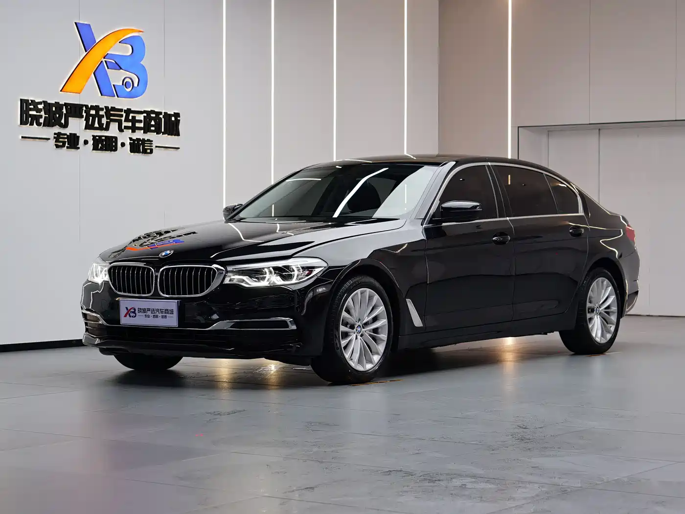 BMW 5 Series 2020 530Li Leading Luxury Package