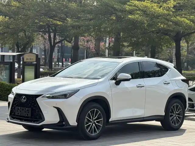 Lexus NX 2022 260 FWD Joy Creation Edition