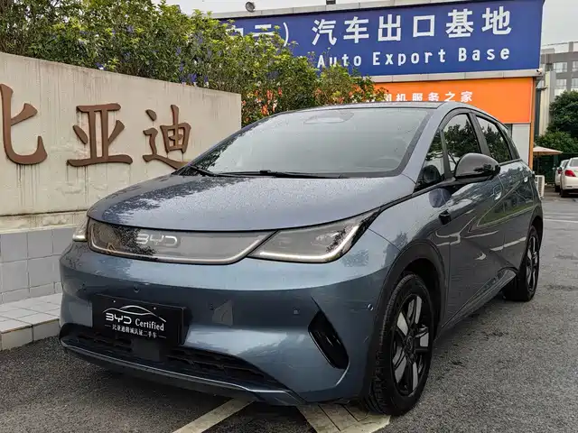 BYD Dolphin 2025 Smart Drive Edition 420km Freedom Version