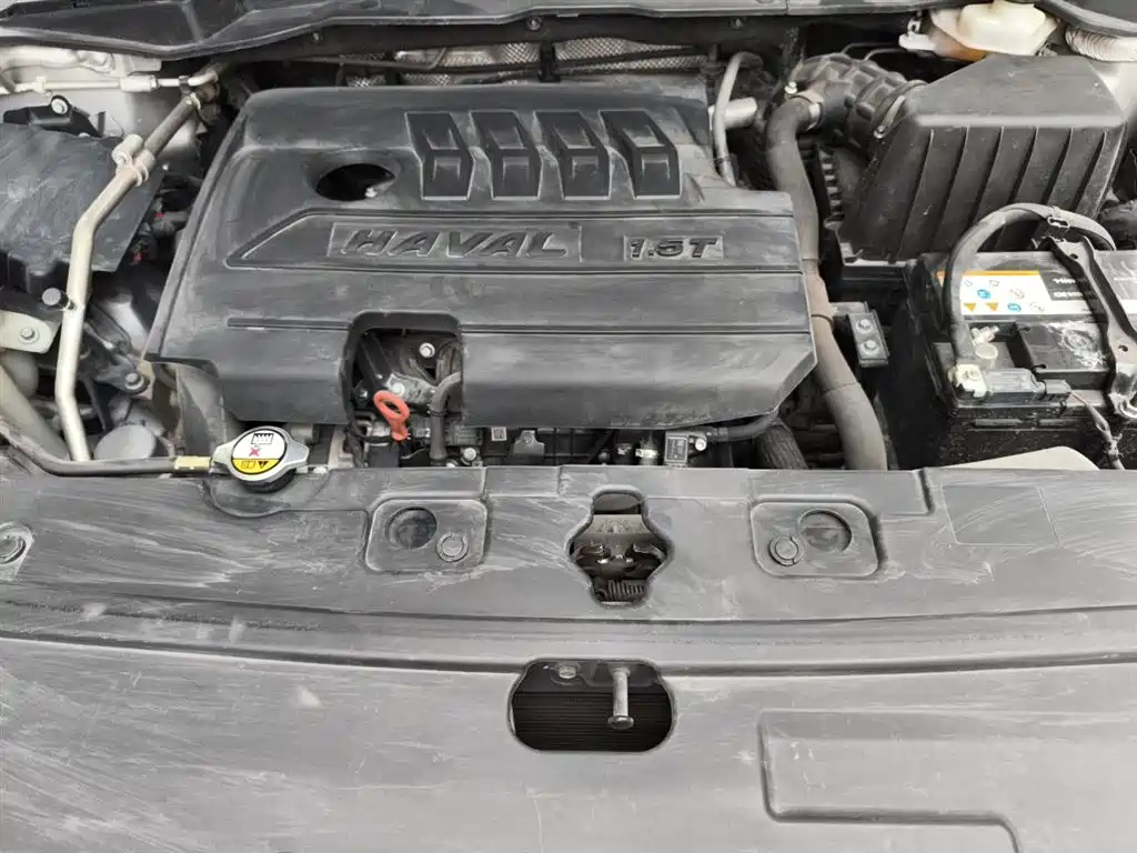 Haval H6 Coupe 2020 Smart Connect Edition 1.5T Automatic 2WD Luxury Smart Connect фото 11
