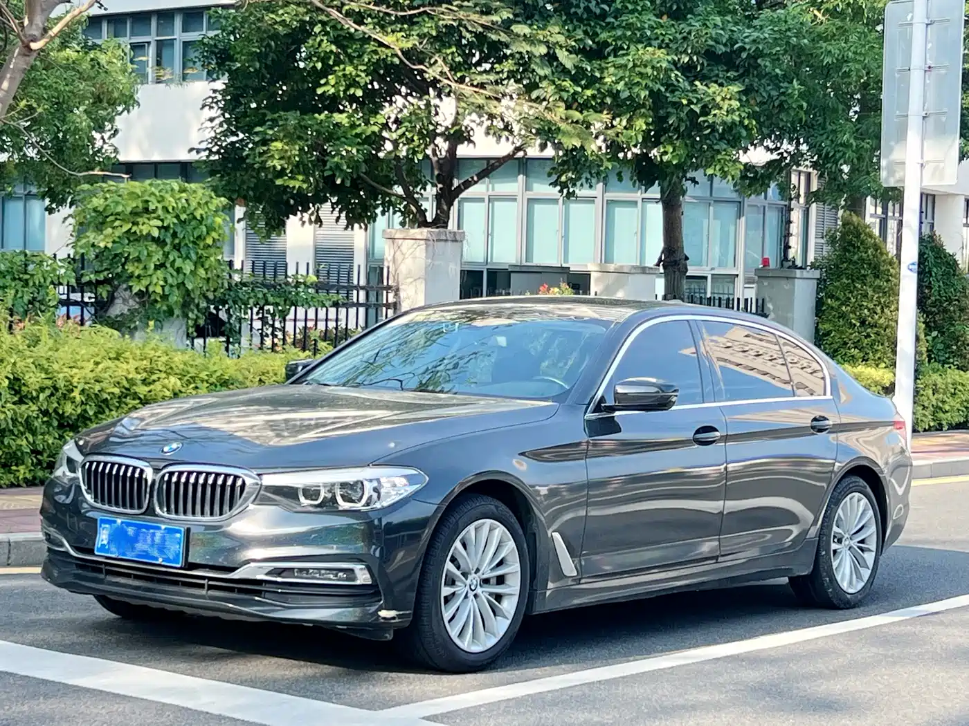 BMW 5 Series 2019 530Li Leading Luxury Package