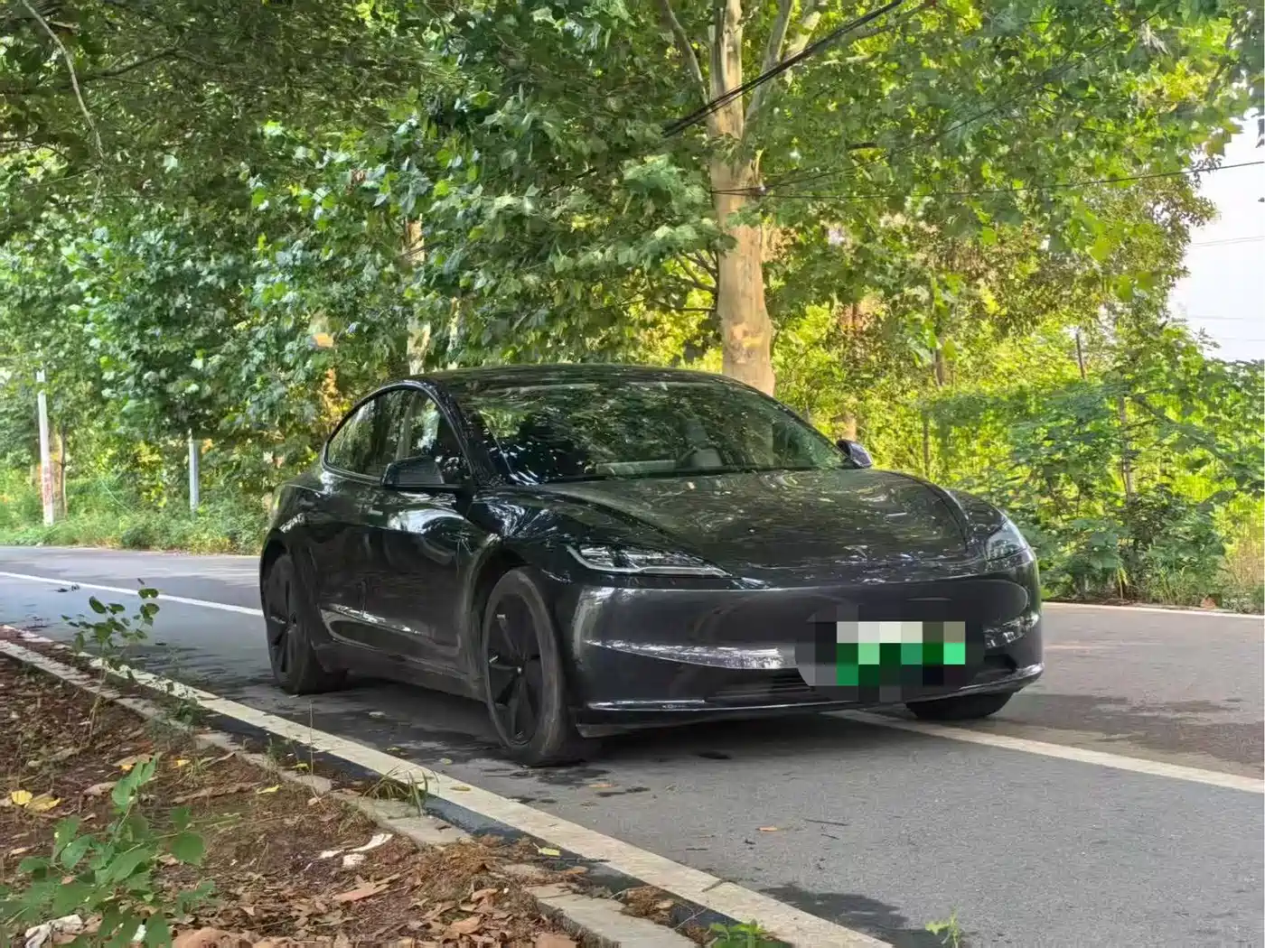 Tesla Model 3 2025 2025 Model Rear-Wheel Drive Edition