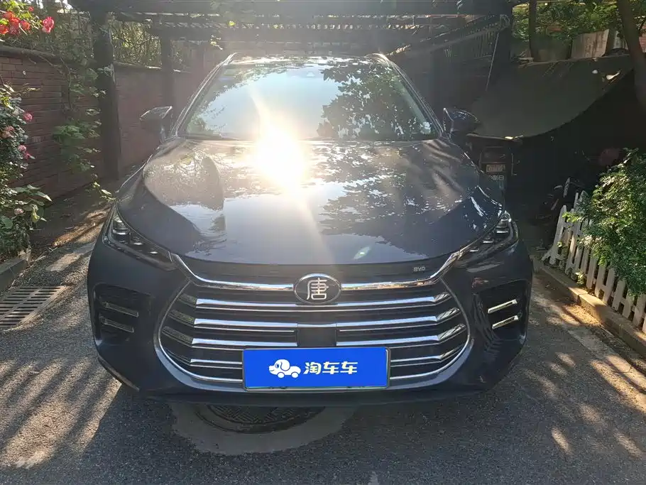BYD Tang New Energy 2018 DM 2.0T AWD Smart Connection Genesis Edition 7-Seater China V фото 2