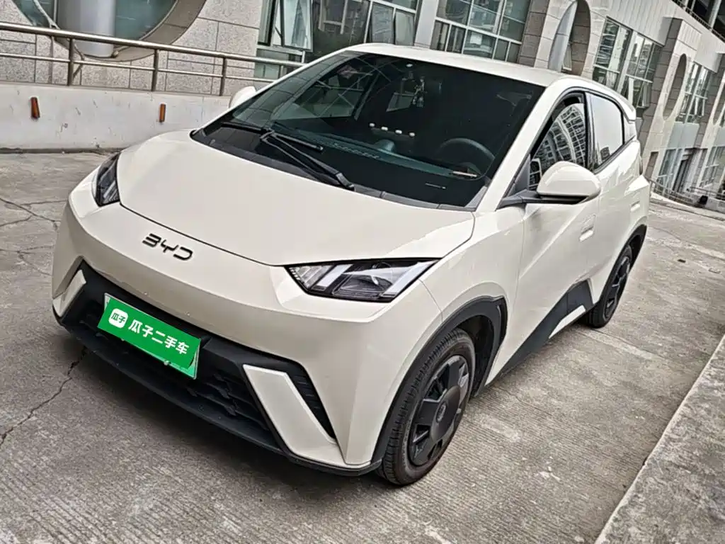 BYD Seagull 2024 Glory Edition 305km Vitality Edition