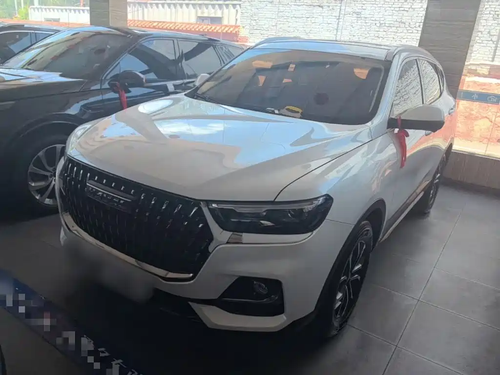 Haval H6 2023 National Trend Edition 1.5T Automatic Urban