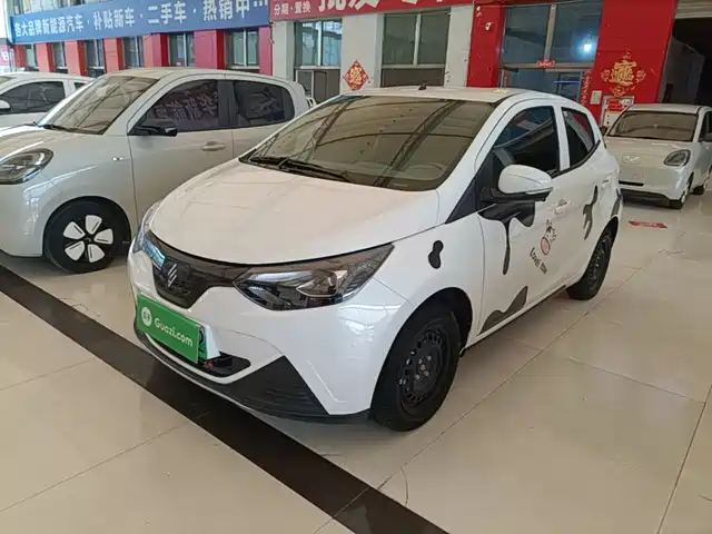  JMCG New Energy Little Kirin 2023 Model Lucky Edition 201km Comfort