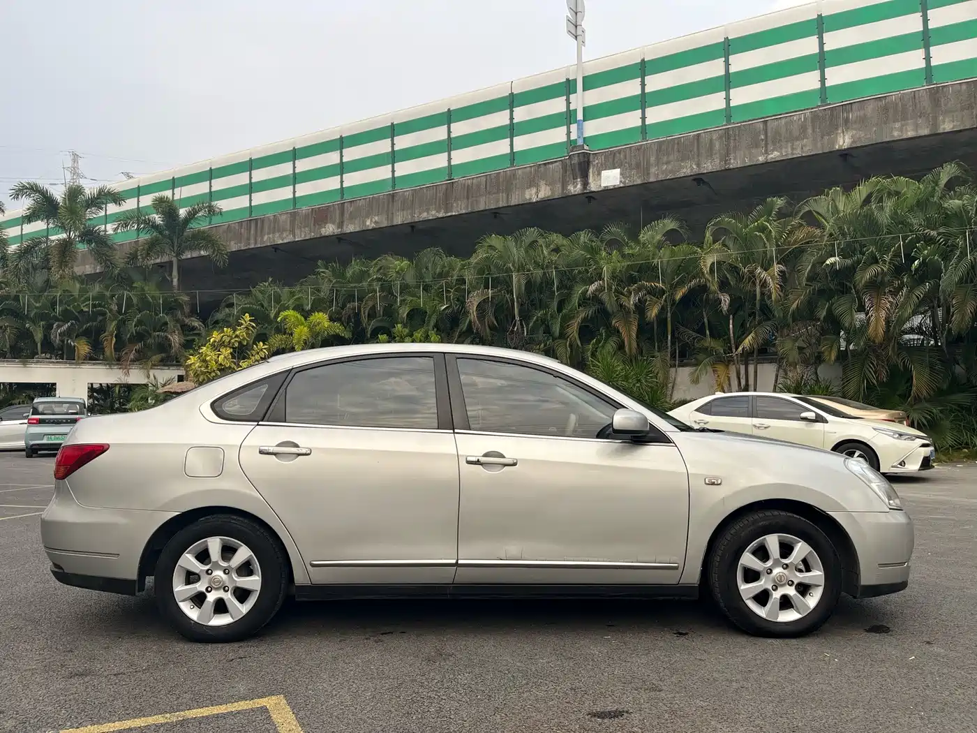 Фото 3 - Nissan Sylphy