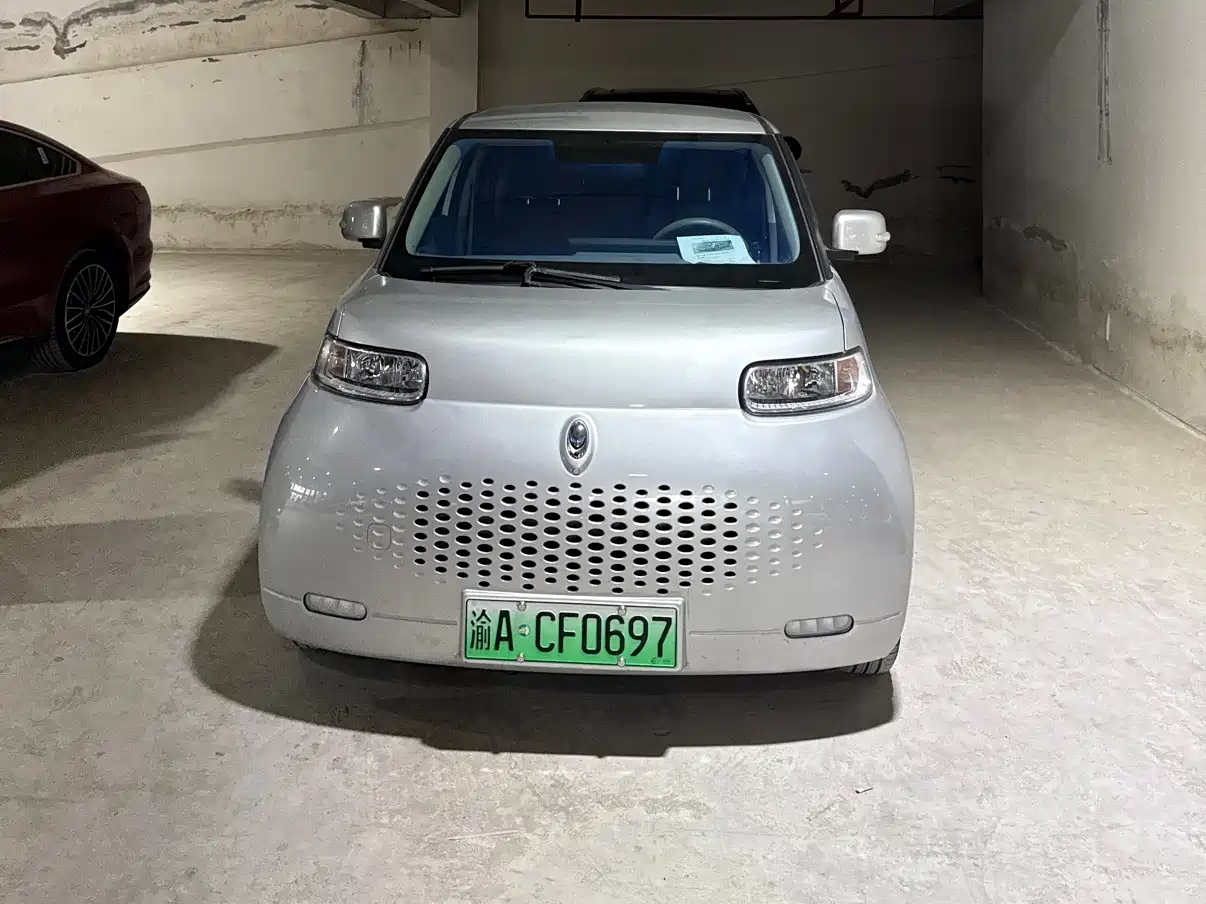 Ora White Cat 2020 2020 360km Luxury Model