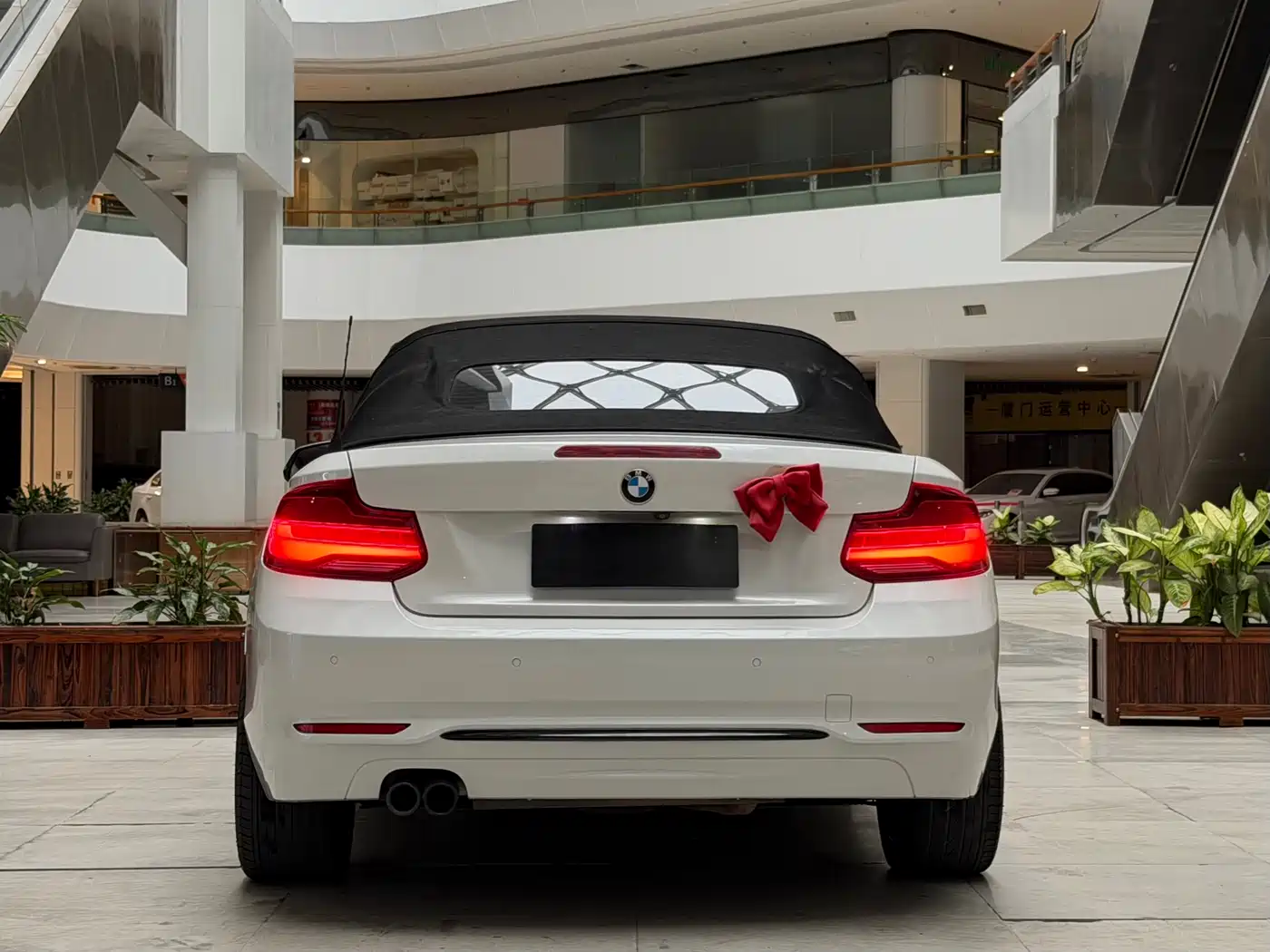 BMW 2 Series (Import) 2019 225i Convertible Coupe Sport Design Package фото 5