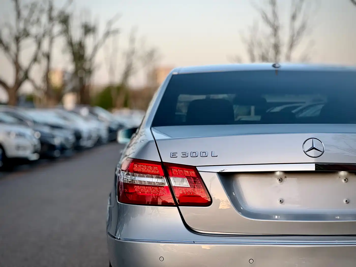 Mercedes-Benz E-Class 2011 E 300 L Elegance фото 39