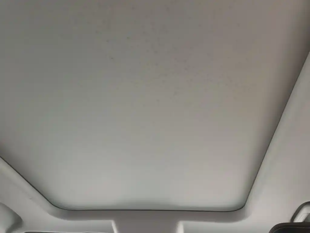 Haval Dargo 2021 2021 1.5T DCT 2WD Border Collie - Wangcai Edition