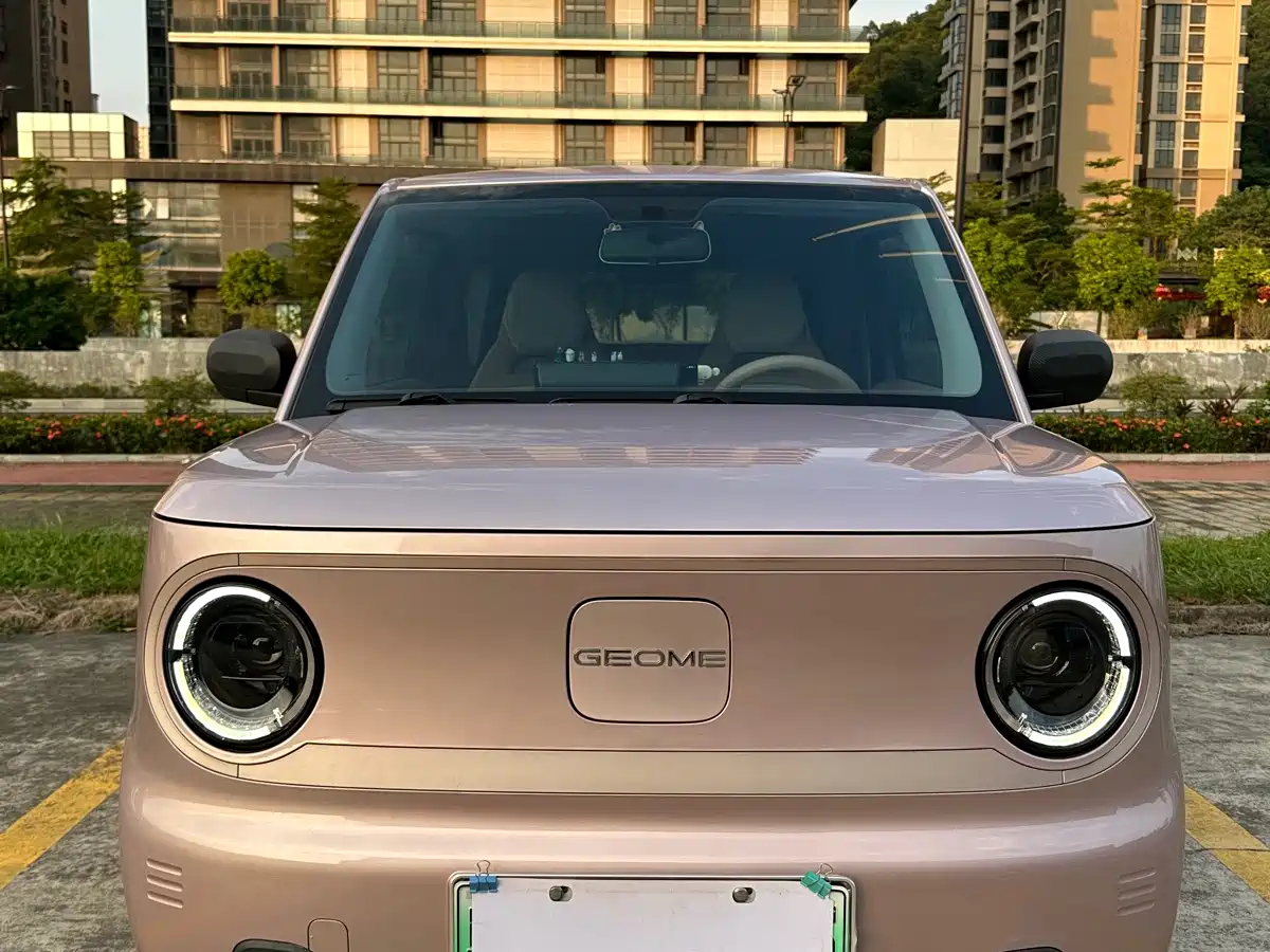 Geely Galaxy Panda 2023 2023 Panda Mini 200km Endurance Bear