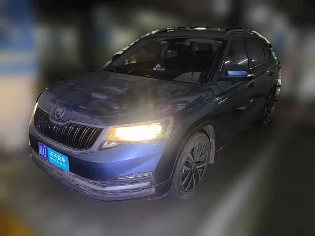 Škoda Kamiq 2018 — пригон из Китая