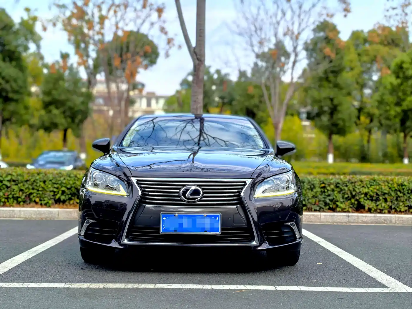 Lexus LS 2016 460L фото 2