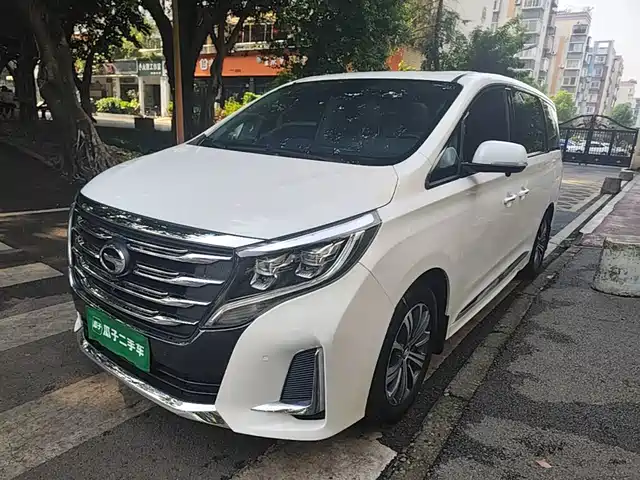 GAC Trumpchi Trumpchi M8 2020 Pilot 390T Prestige Edition