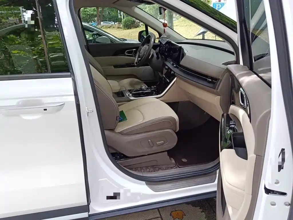 Kia Carnival 2021 2021 2.0T Luxury Premium Edition