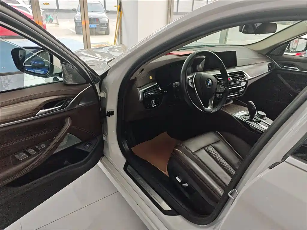 BMW 5 Series 2020 530Li Leading Luxury Package фото 13