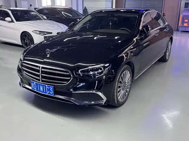 Mercedes-Benz E E 300 L, Стиль