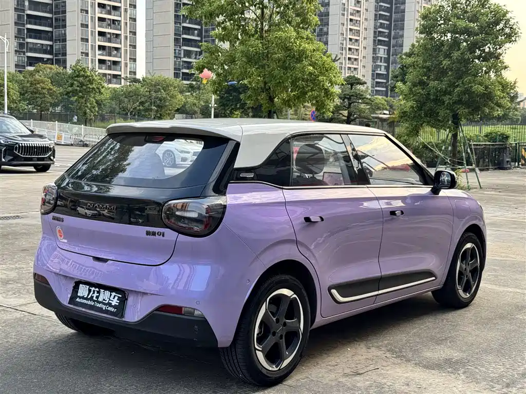 Dongfeng Yipai Nano 01 2025 2026 Model High-end Version