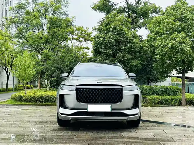 Li Auto Li ONE 2020 Extended Range 6-seater — фото 4
