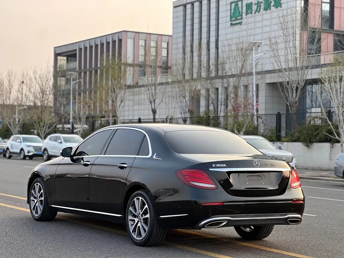 Mercedes-Benz E-Class 2018 Facelift E 300 L Luxury фото 4