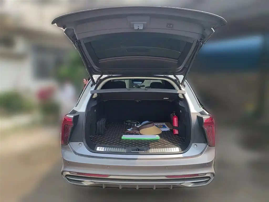 Hongqi E-HS9 2022 660km Qi Ling Edition (4-seater) фото 10
