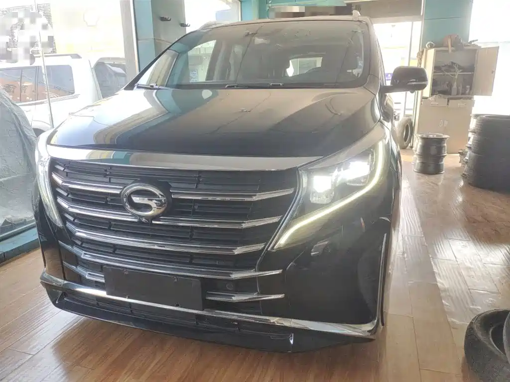 GAC Trumpchi Trumpchi M8 2021 Leading Show Series 390T Prestige Edition фото 3