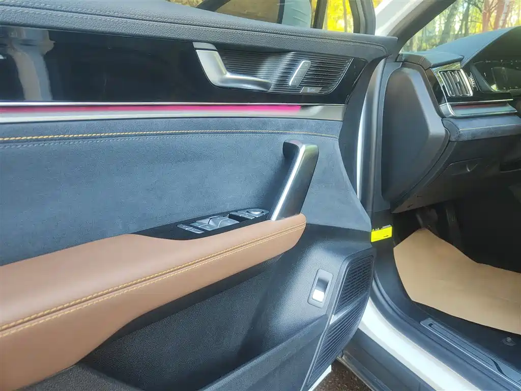 BYD Tang New Energy 2021 DM-i 112KM Honor фото 13