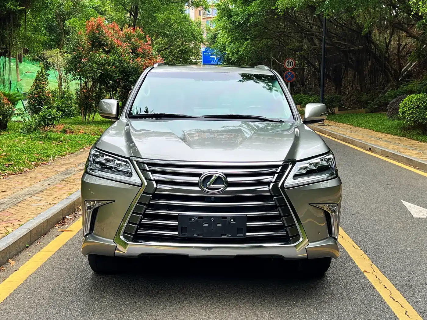 Lexus LX 2017 570 Dynamic Luxury фото 2