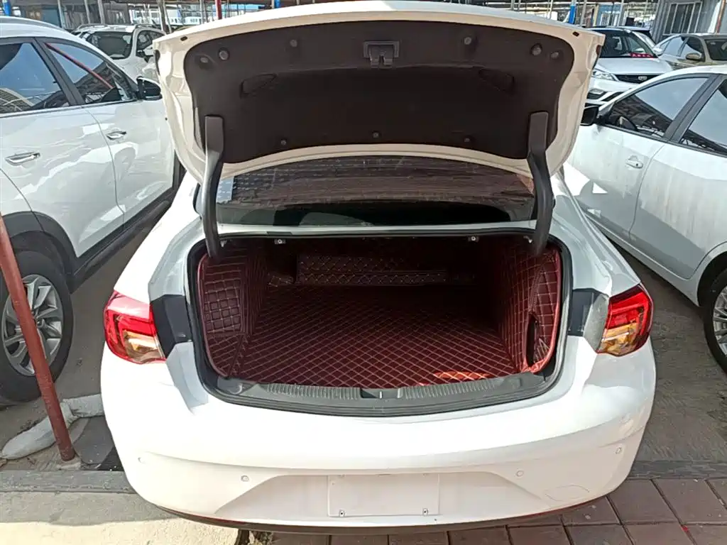 Buick Regal 2017 20T Elite Type фото 19