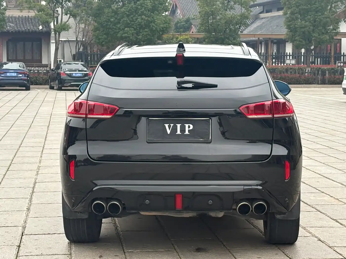 WEI PAI WEI BRAND VV7