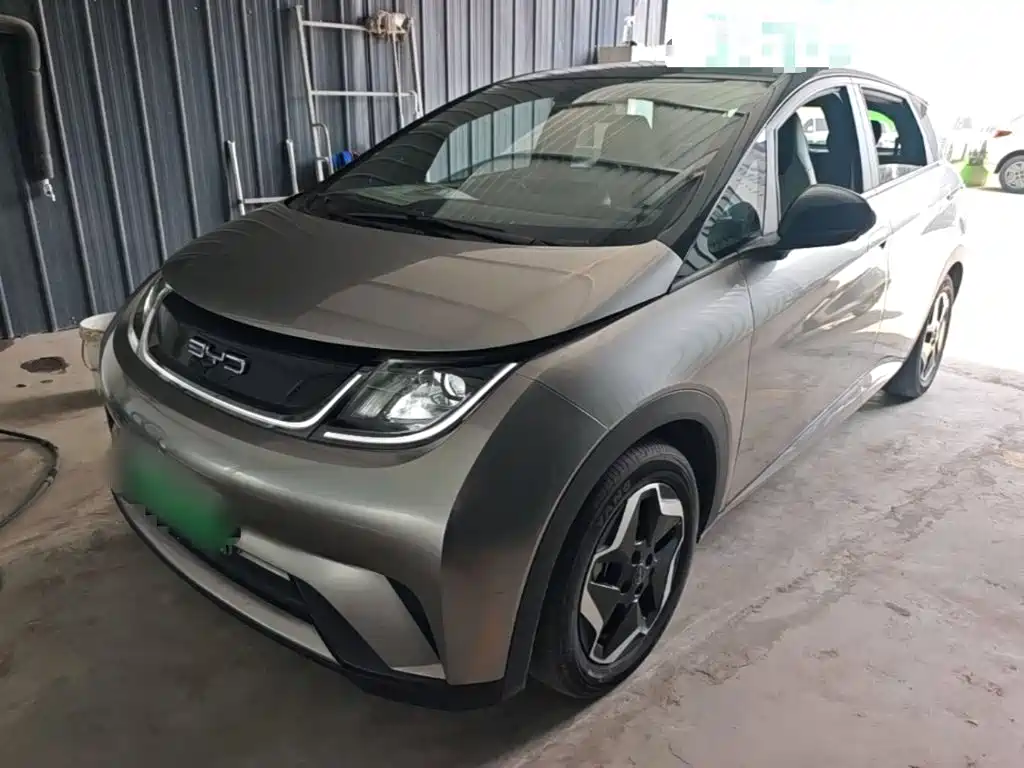 BYD Dolphin 2021