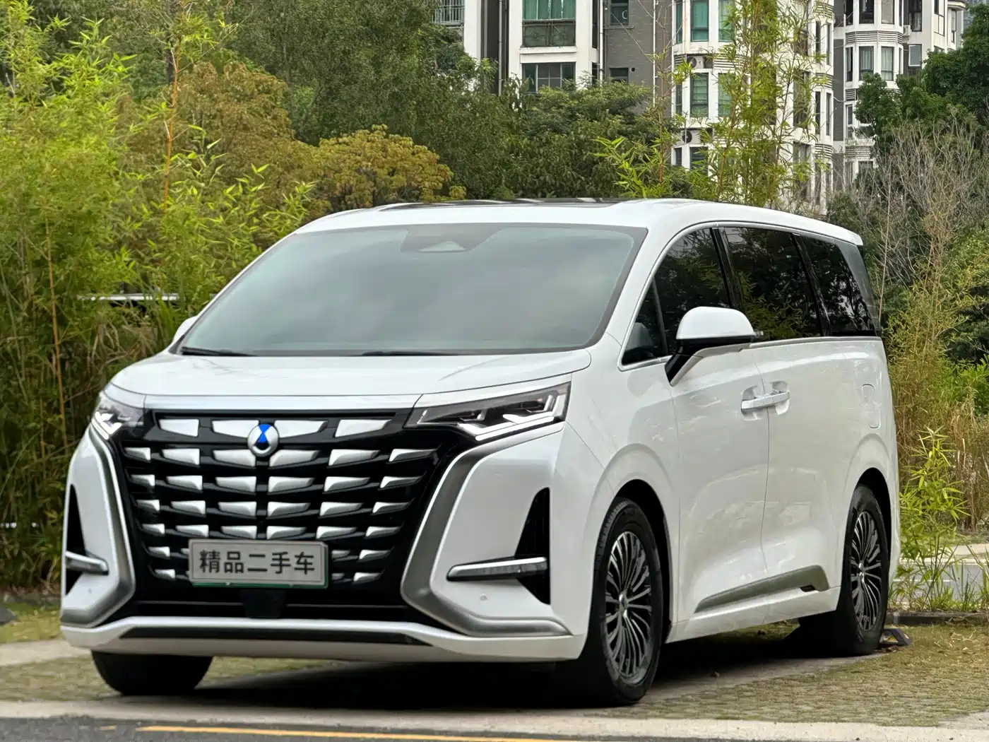 Denza D9 2022 DM-i 970 All-Wheel Drive Honor Edition