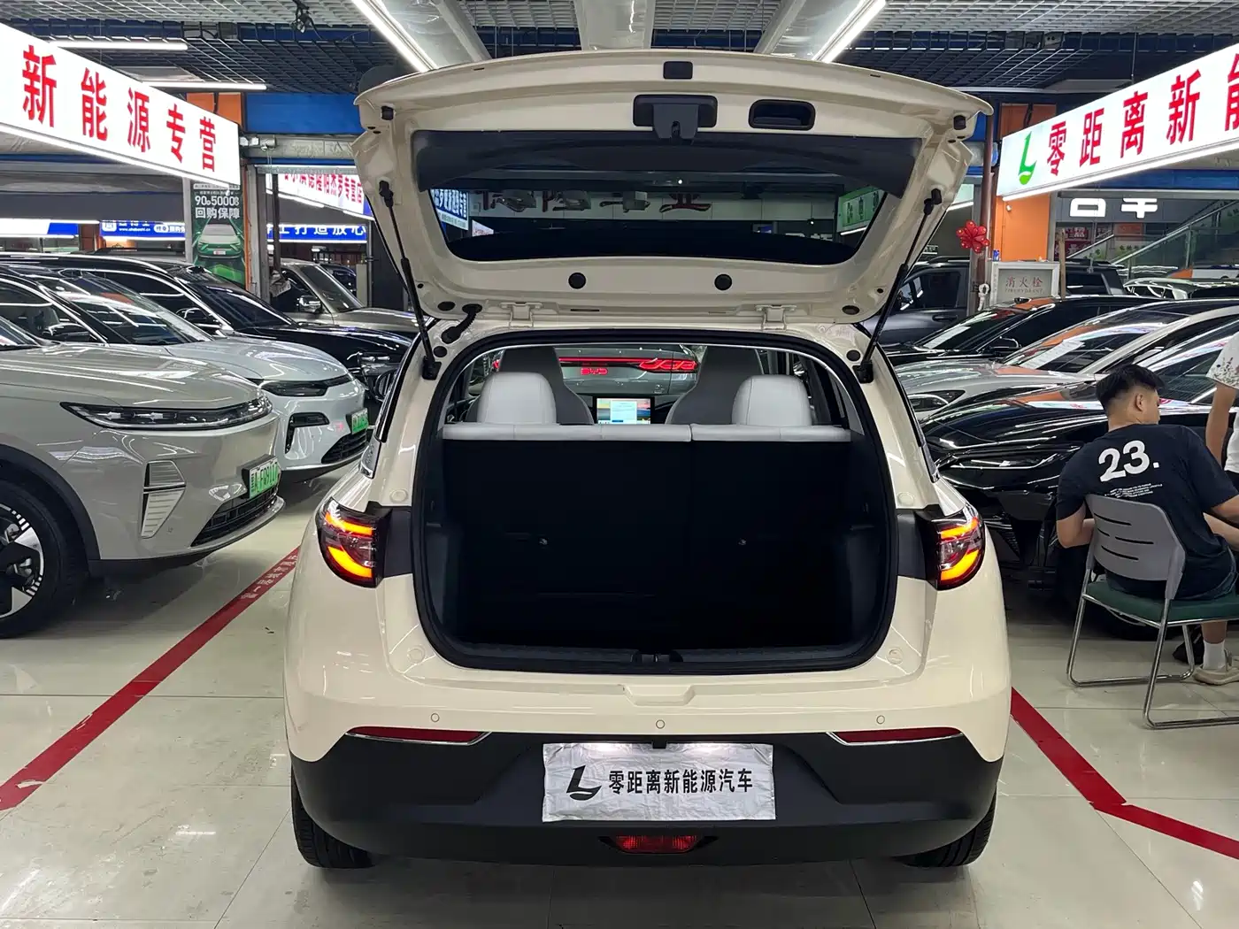 Geely Galaxy Starry Wish 2025 2025 310km Youth Edition